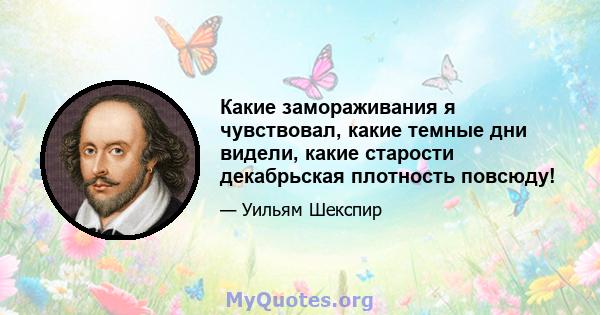 Какие замораживания я чувствовал, какие темные дни видели, какие старости декабрьская плотность повсюду!