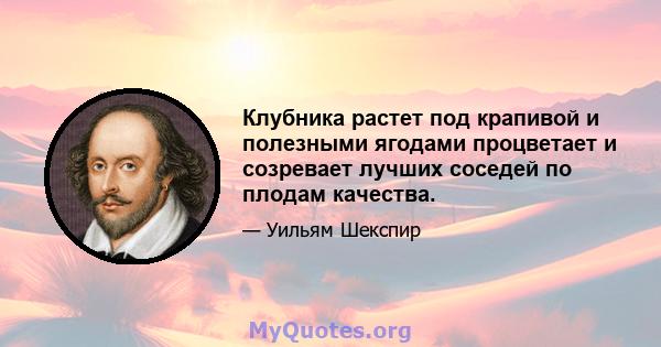 Клубника растет под крапивой и полезными ягодами процветает и созревает лучших соседей по плодам качества.