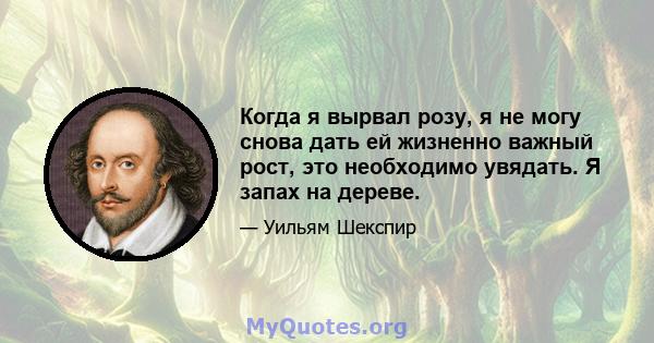 Когда я вырвал розу, я не могу снова дать ей жизненно важный рост, это необходимо увядать. Я запах на дереве.