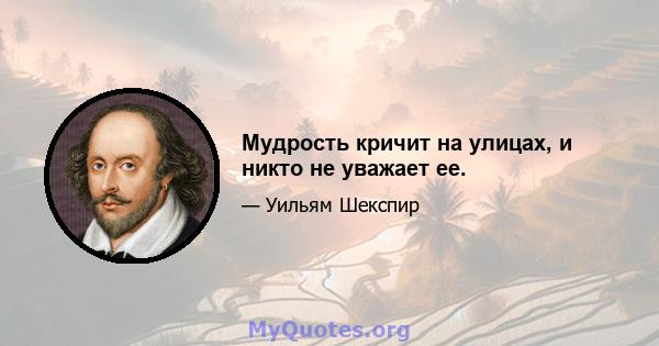 Мудрость кричит на улицах, и никто не уважает ее.