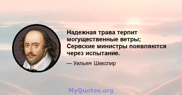 Надежная трава терпит могущественные ветры; Сервские министры появляются через испытание.