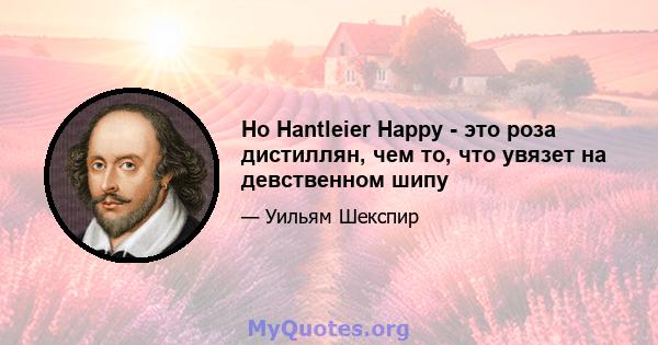 Но Hantleier Happy - это роза дистиллян, чем то, что увязет на девственном шипу