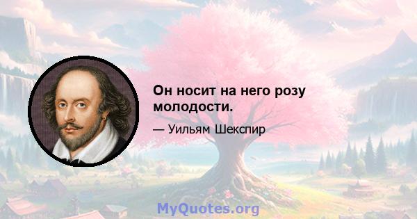 Он носит на него розу молодости.