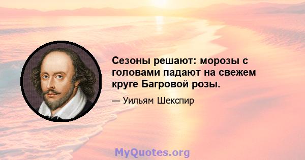 Сезоны решают: морозы с головами падают на свежем круге Багровой розы.