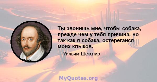 Ты звонишь мне, чтобы собака, прежде чем у тебя причина, но так как я собака, остерегайся моих клыков.