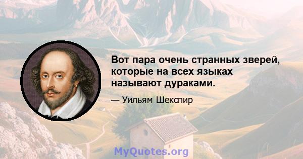 Вот пара очень странных зверей, которые на всех языках называют дураками.