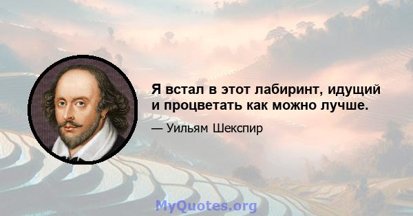 Я встал в этот лабиринт, идущий и процветать как можно лучше.