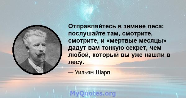 Отправляйтесь в зимние леса: послушайте там, смотрите, смотрите, и «мертвые месяцы» дадут вам тонкую секрет, чем любой, который вы уже нашли в лесу.