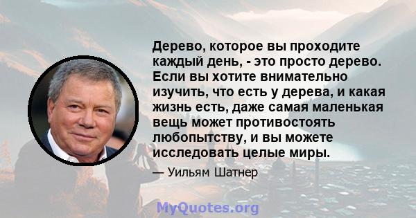 Дерево, которое вы проходите каждый день, - это просто дерево. Если вы хотите внимательно изучить, что есть у дерева, и какая жизнь есть, даже самая маленькая вещь может противостоять любопытству, и вы можете