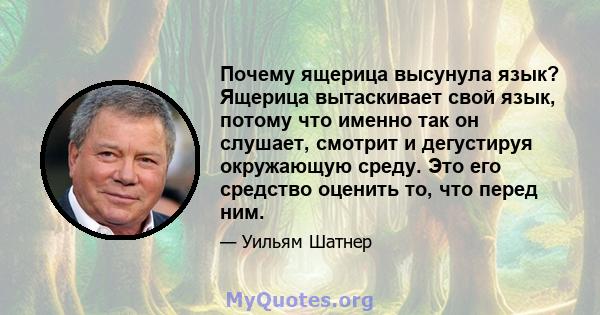 Почему ящерица высунула язык? Ящерица вытаскивает свой язык, потому что именно так он слушает, смотрит и дегустируя окружающую среду. Это его средство оценить то, что перед ним.