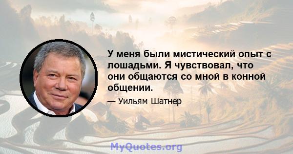 У меня были мистический опыт с лошадьми. Я чувствовал, что они общаются со мной в конной общении.