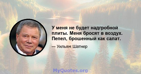 У меня не будет надгробной плиты. Меня бросят в воздух. Пепел, брошенный как салат.