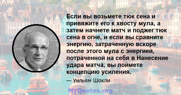 Если вы возьмете тюк сена и привяжите его к хвосту мула, а затем начнете матч и поджег тюк сена в огне, и если вы сравните энергию, затраченную вскоре после этого мула с энергией, потраченной на себя в Нанесение удара