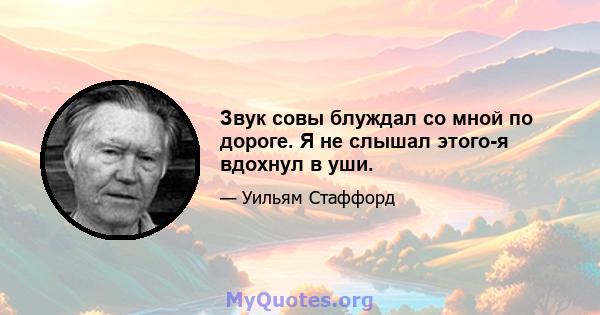 Звук совы блуждал со мной по дороге. Я не слышал этого-я вдохнул в уши.