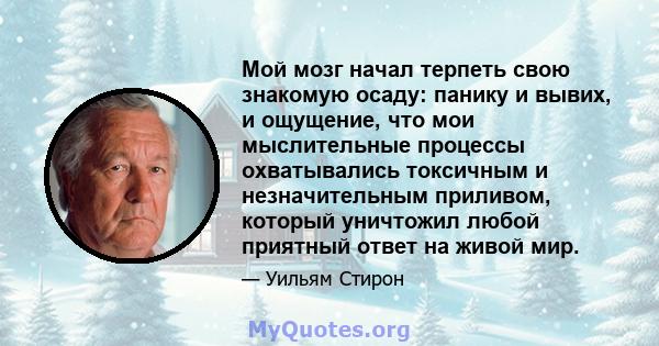 Мой мозг начал терпеть свою знакомую осаду: панику и вывих, и ощущение, что мои мыслительные процессы охватывались токсичным и незначительным приливом, который уничтожил любой приятный ответ на живой мир.