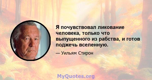 Я почувствовал ликование человека, только что выпущенного из рабства, и готов поджечь вселенную.