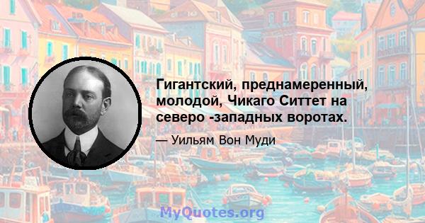 Гигантский, преднамеренный, молодой, Чикаго Ситтет на северо -западных воротах.