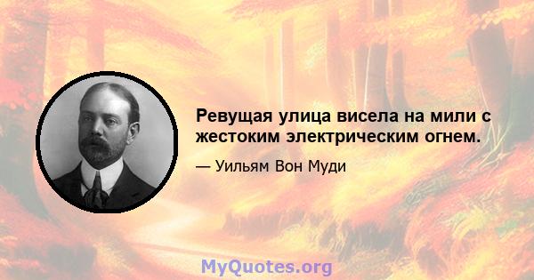 Ревущая улица висела на мили с жестоким электрическим огнем.