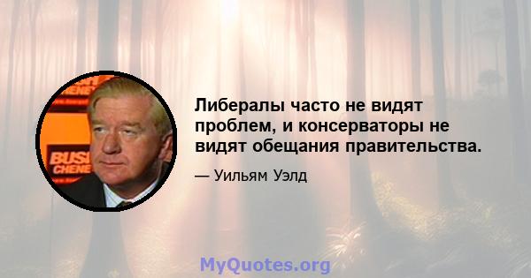 Либералы часто не видят проблем, и консерваторы не видят обещания правительства.