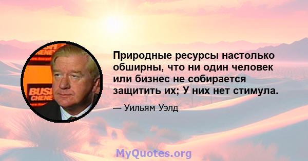 Природные ресурсы настолько обширны, что ни один человек или бизнес не собирается защитить их; У них нет стимула.