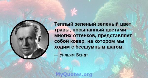 Теплый зеленый зеленый цвет травы, посыпанный цветами многих оттенков, представляет собой ковер, на котором мы ходим с бесшумным шагом.