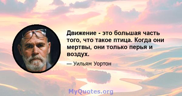 Движение - это большая часть того, что такое птица. Когда они мертвы, они только перья и воздух.