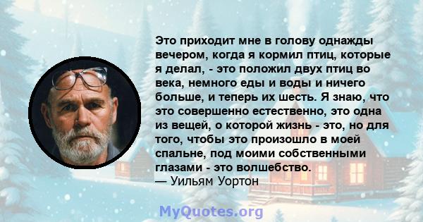 Это приходит мне в голову однажды вечером, когда я кормил птиц, которые я делал, - это положил двух птиц во века, немного еды и воды и ничего больше, и теперь их шесть. Я знаю, что это совершенно естественно, это одна