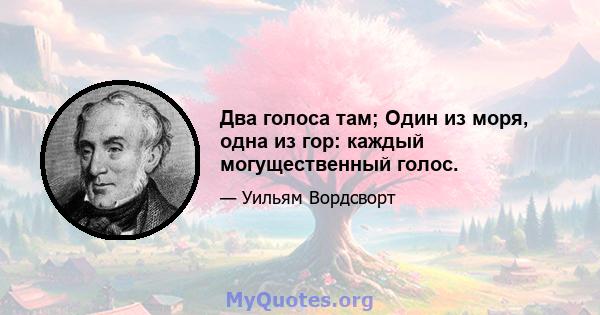 Два голоса там; Один из моря, одна из гор: каждый могущественный голос.