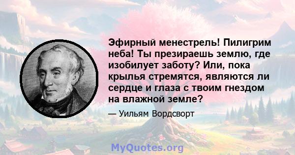 Эфирный менестрель! Пилигрим неба! Ты презираешь землю, где изобилует заботу? Или, пока крылья стремятся, являются ли сердце и глаза с твоим гнездом на влажной земле?