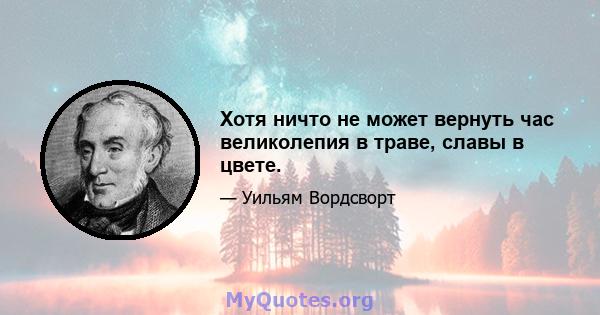 Хотя ничто не может вернуть час великолепия в траве, славы в цвете.