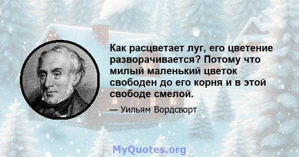 Как расцветает луг, его цветение разворачивается? Потому что милый маленький цветок свободен до его корня и в этой свободе смелой.