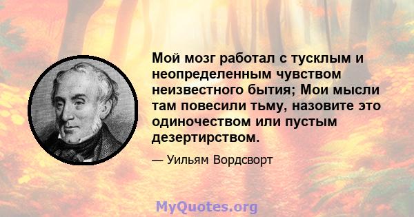 Мой мозг работал с тусклым и неопределенным чувством неизвестного бытия; Мои мысли там повесили тьму, назовите это одиночеством или пустым дезертирством.