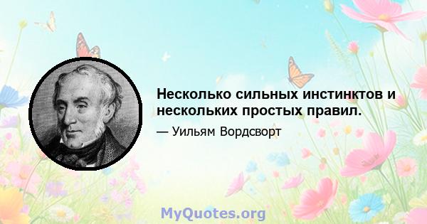 Несколько сильных инстинктов и нескольких простых правил.