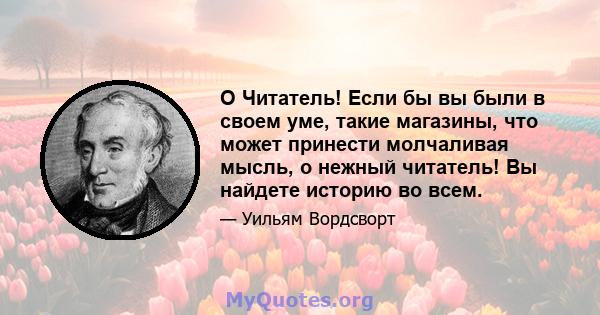 O Читатель! Если бы вы были в своем уме, такие магазины, что может принести молчаливая мысль, о нежный читатель! Вы найдете историю во всем.