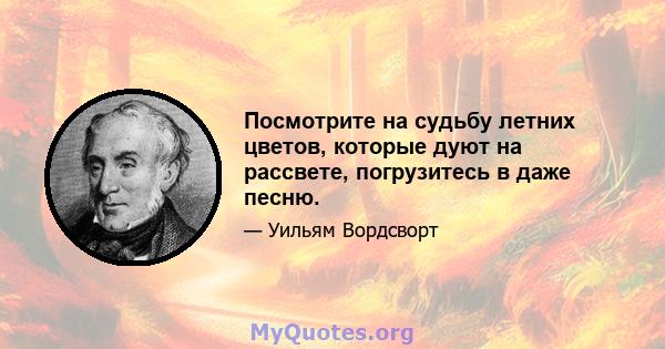 Посмотрите на судьбу летних цветов, которые дуют на рассвете, погрузитесь в даже песню.