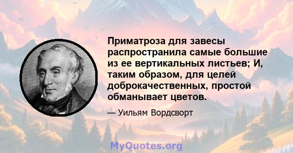 Приматроза для завесы распространила самые большие из ее вертикальных листьев; И, таким образом, для целей доброкачественных, простой обманывает цветов.