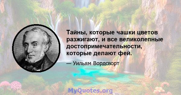 Тайны, которые чашки цветов разжигают, и все великолепные достопримечательности, которые делают фей.