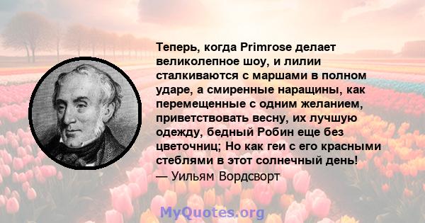 Теперь, когда Primrose делает великолепное шоу, и лилии сталкиваются с маршами в полном ударе, а смиренные наращины, как перемещенные с одним желанием, приветствовать весну, их лучшую одежду, бедный Робин еще без