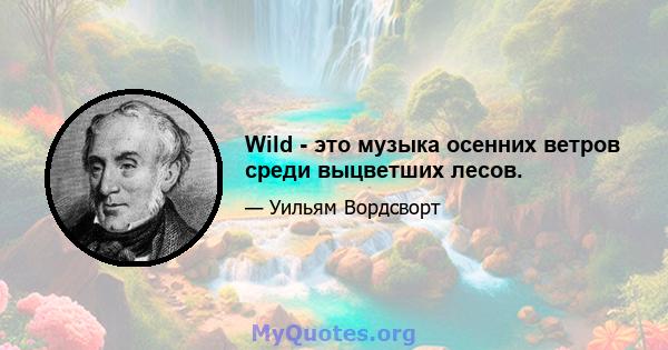 Wild - это музыка осенних ветров среди выцветших лесов.