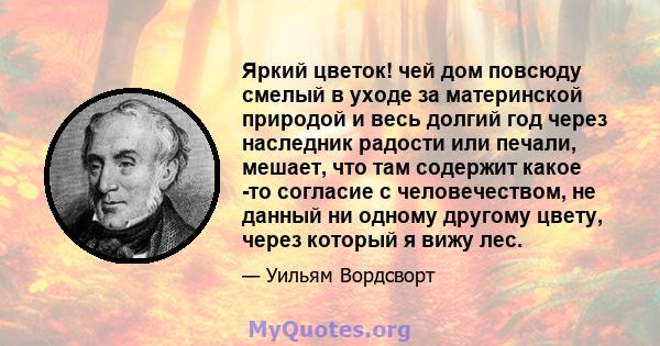 Яркий цветок! чей дом повсюду смелый в уходе за материнской природой и весь долгий год через наследник радости или печали, мешает, что там содержит какое -то согласие с человечеством, не данный ни одному другому цвету,