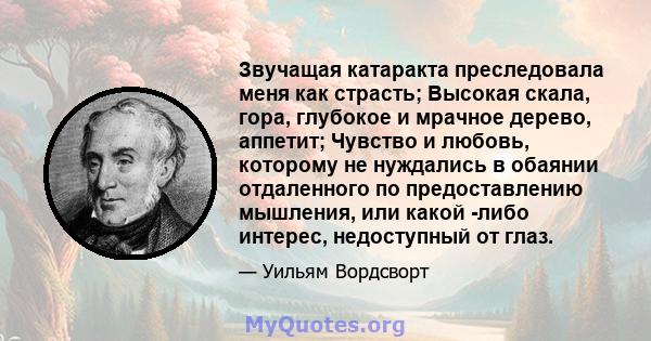 Звучащая катаракта преследовала меня как страсть; Высокая скала, гора, глубокое и мрачное дерево, аппетит; Чувство и любовь, которому не нуждались в обаянии отдаленного по предоставлению мышления, или какой -либо