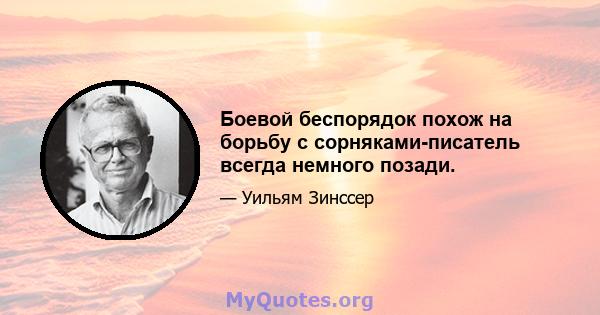 Боевой беспорядок похож на борьбу с сорняками-писатель всегда немного позади.