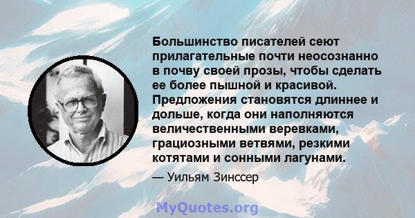 Большинство писателей сеют прилагательные почти неосознанно в почву своей прозы, чтобы сделать ее более пышной и красивой. Предложения становятся длиннее и дольше, когда они наполняются величественными веревками,