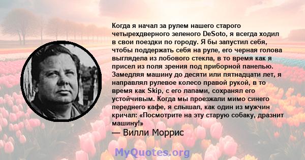 Когда я начал за рулем нашего старого четырехдверного зеленого DeSoto, я всегда ходил в свои поездки по городу. Я бы запустил себя, чтобы поддержать себя на руле, его черная голова выглядела из лобового стекла, в то