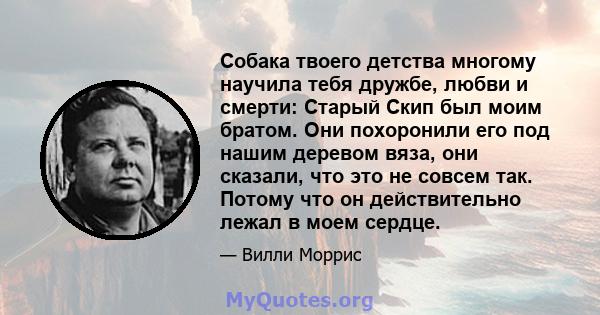 Собака твоего детства многому научила тебя дружбе, любви и смерти: Старый Скип был моим братом. Они похоронили его под нашим деревом вяза, они сказали, что это не совсем так. Потому что он действительно лежал в моем