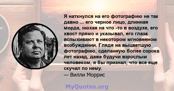 Я наткнулся на его фотографию не так давно ... его черное лицо, длинная морда, нюхая на что -то в воздухе, его хвост прямо и указывал, его глаза вспыхивают в некотором мгновенном возбуждении. Глядя на выцветшую