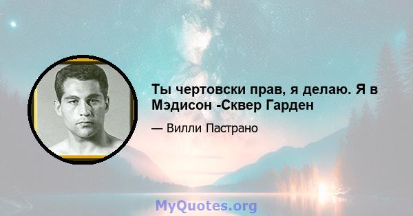 Ты чертовски прав, я делаю. Я в Мэдисон -Сквер Гарден