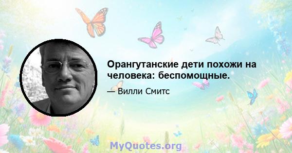 Орангутанские дети похожи на человека: беспомощные.