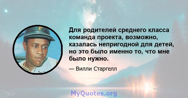 Для родителей среднего класса команда проекта, возможно, казалась непригодной для детей, но это было именно то, что мне было нужно.