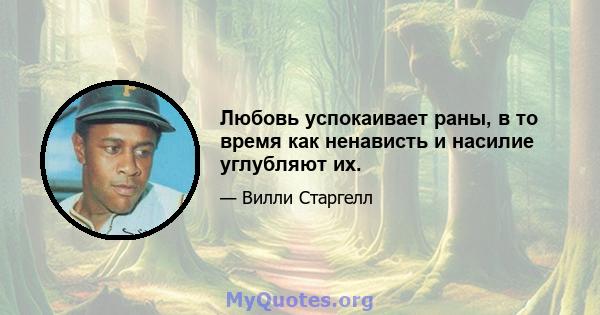 Любовь успокаивает раны, в то время как ненависть и насилие углубляют их.